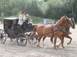 IMG_1191_web